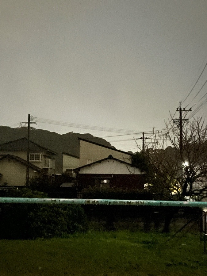 雨です💕