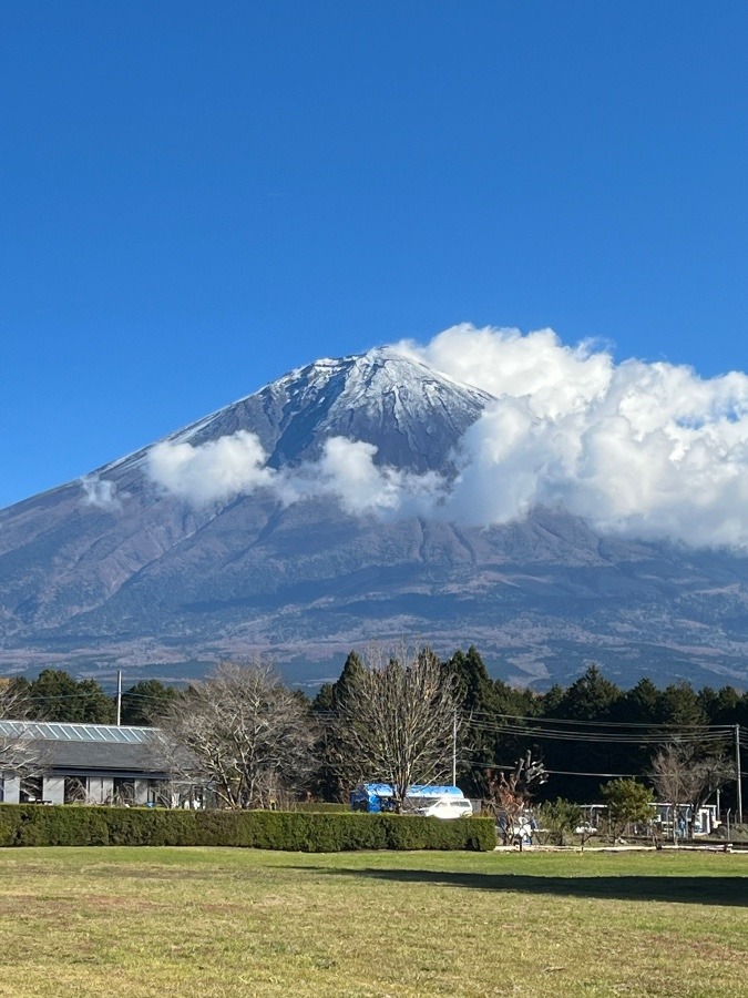 宮からの富士山