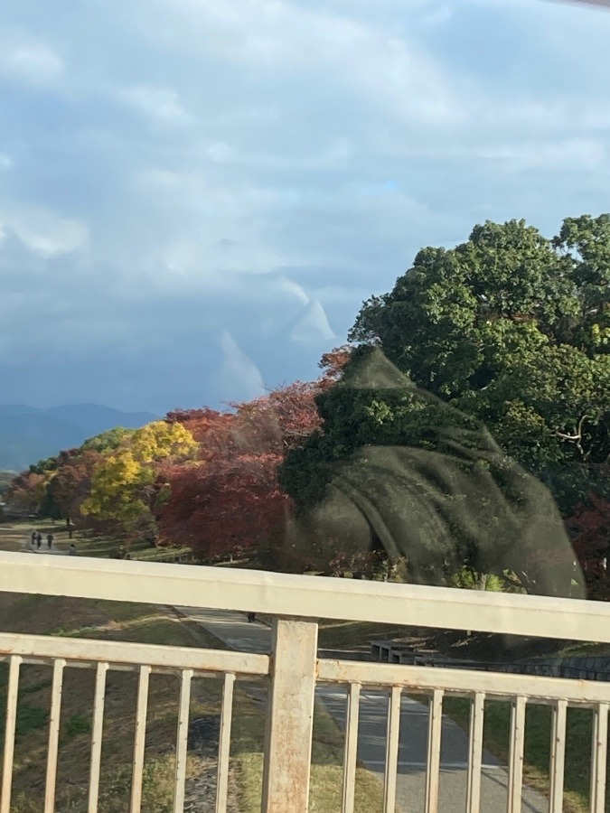 鴨川の土手沿い❣️