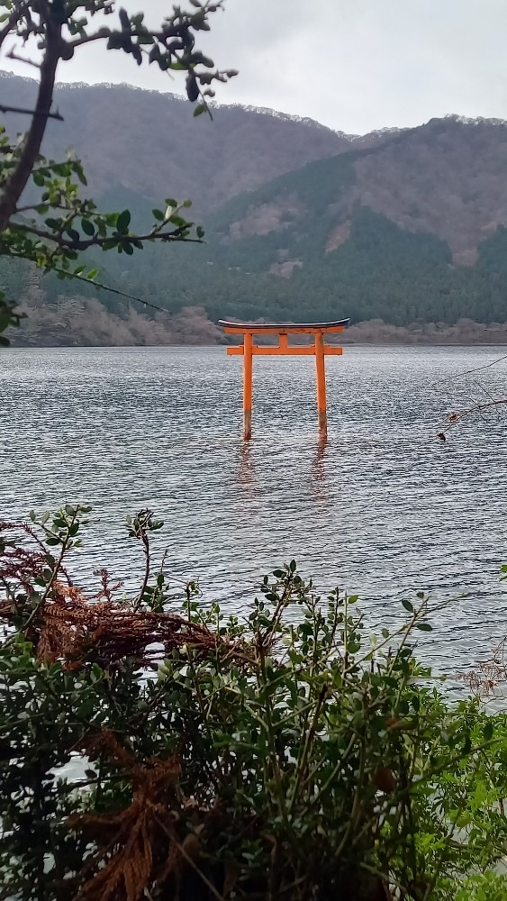 湖上の鳥居