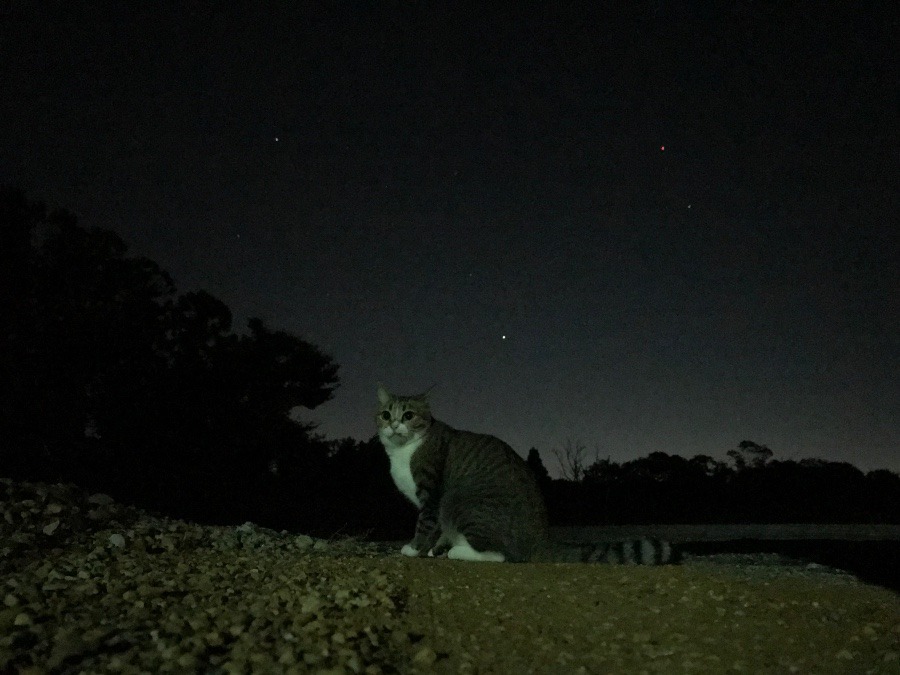 昨日の夜の……