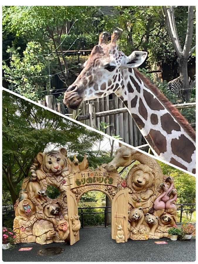 北九州市到津の森動物園