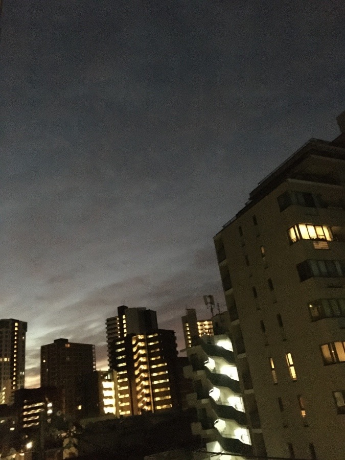 11/7 朝空