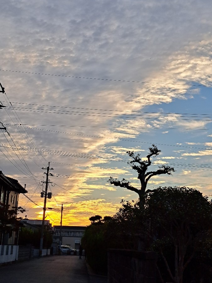 散歩中の空 　