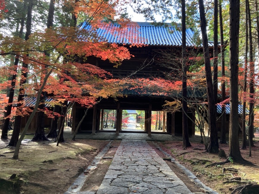 曹源寺　(岡山市)