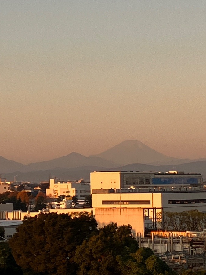 今朝の富士山