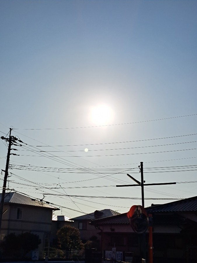 お早う　太陽☀️さん