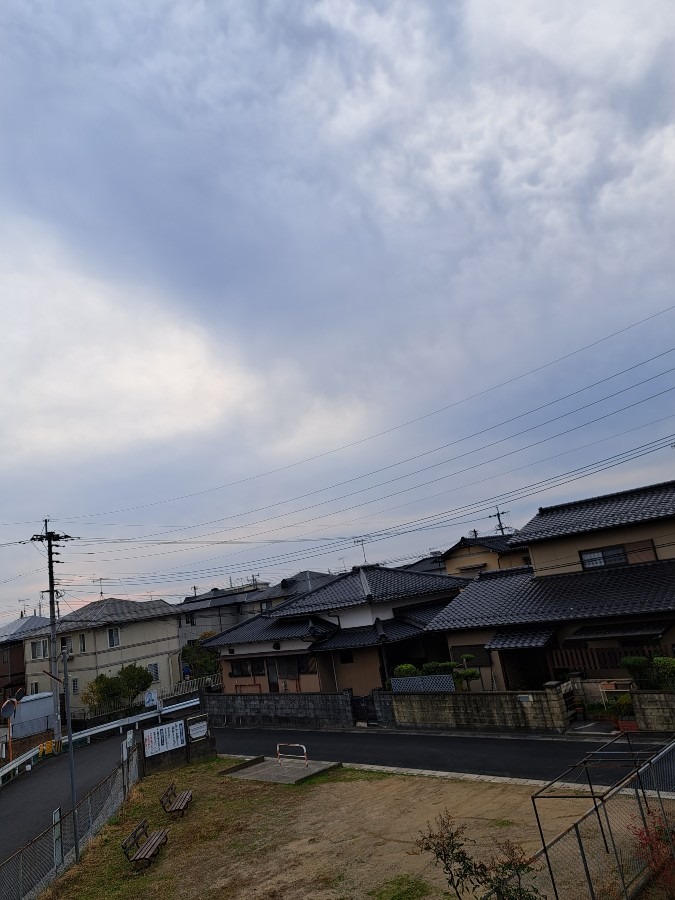 お早うございます