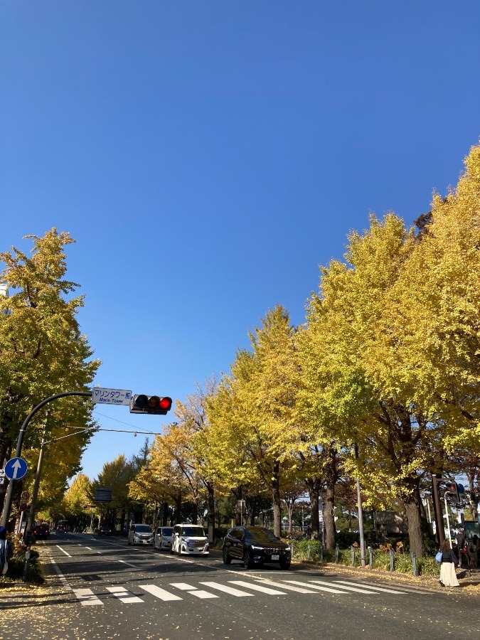 横浜・山下公園