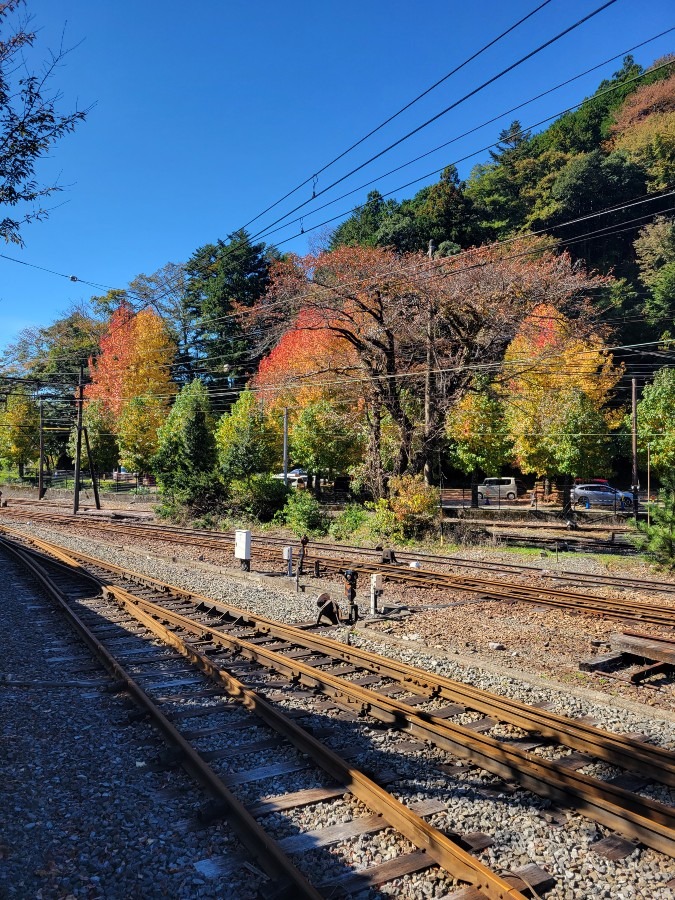 大井川鐵道千頭駅へ行って来ました