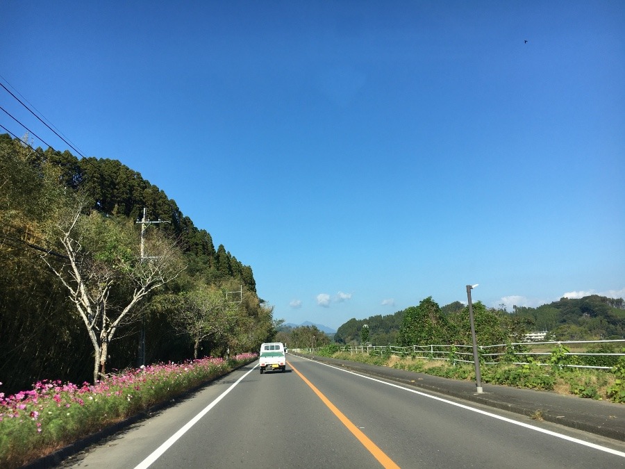 ⭕️高岡町の、空と、山、花🌸