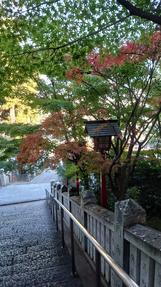 艮神社参拝後に出遭った風景