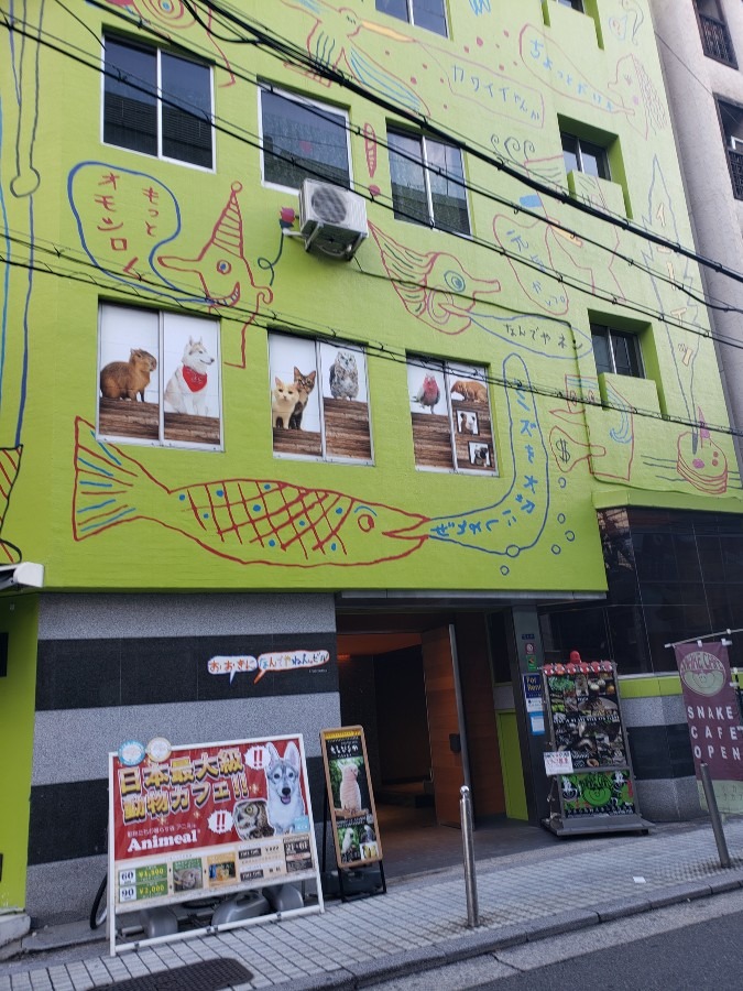 大阪動物カフェ