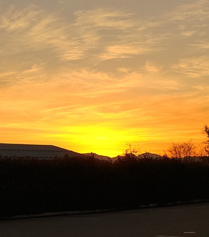 帰り道の夕焼け🌇🌇