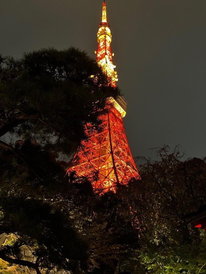 おー！東京タワーだ！