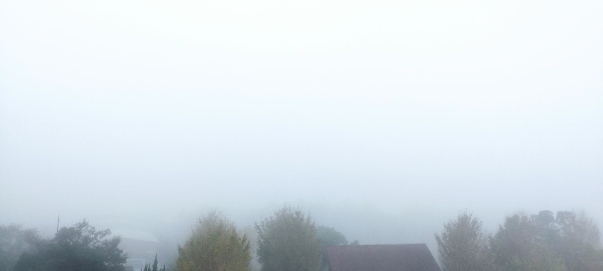 都城市（2022/11/11）今朝は霧😓↘️（西の空）②