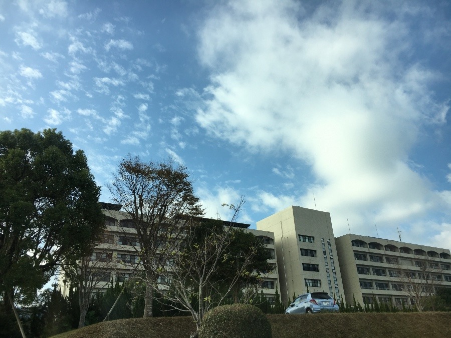 ⭕️空部→   今朝（≧∇≦）‼️254.