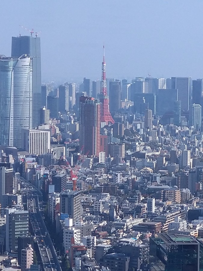 シブヤSKY　最高❣