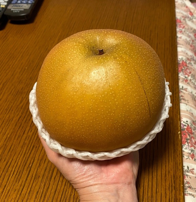 お土産🍐