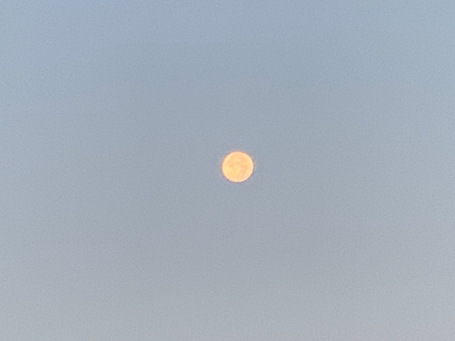 お月さま