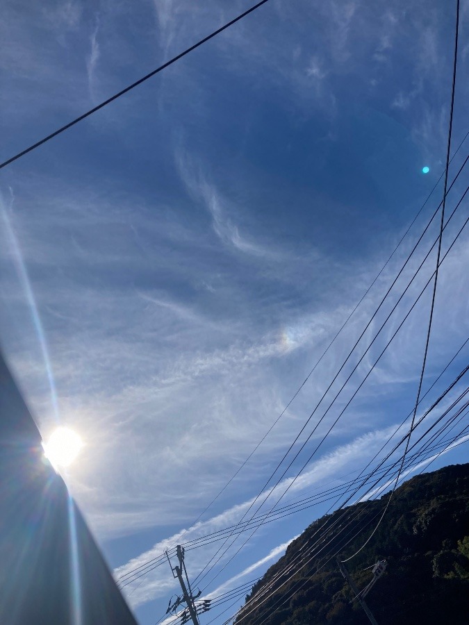 昨日の空ひこうき雲が何度も現れた‼️