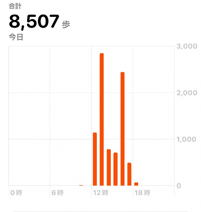 8507歩　ウォーキング11/20