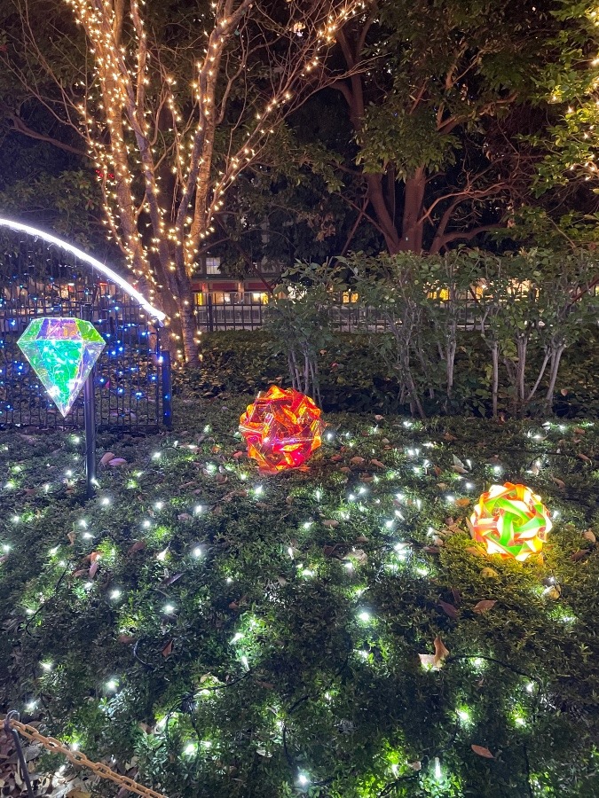 新宿駅のイルミネーション✨