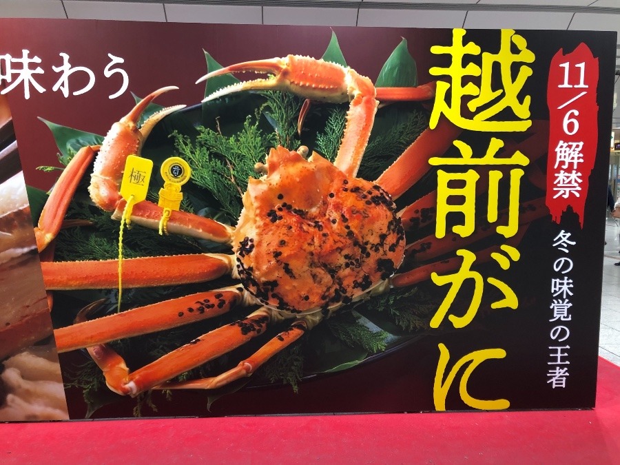 カニ　　食べた〜い