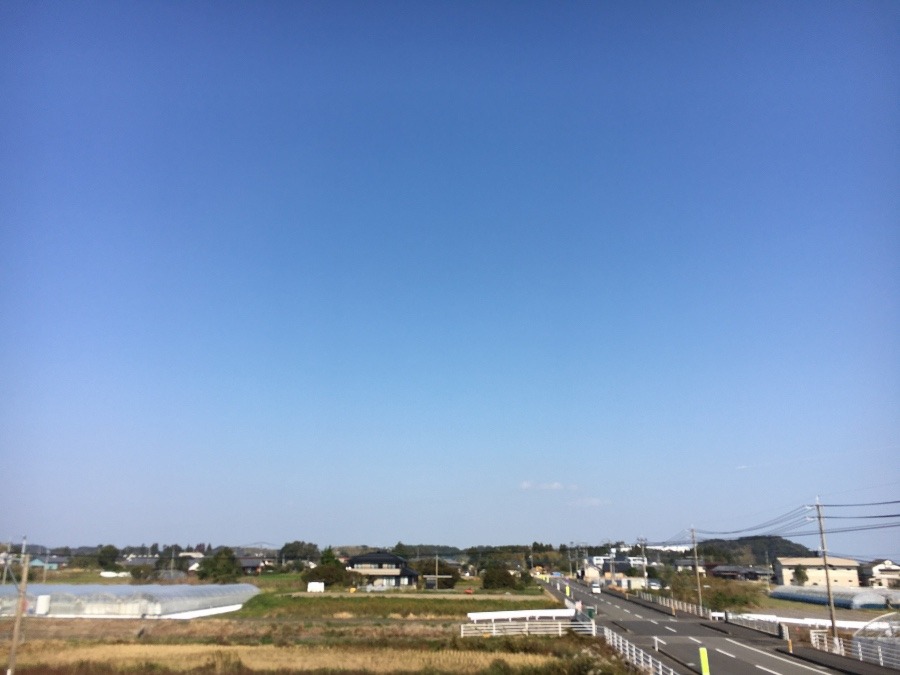 ⭕️空部→   いま空（≧∇≦）‼️239.