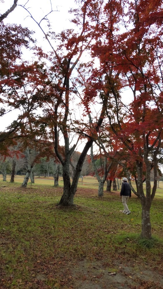 加瀬沼公園の紅葉(1)