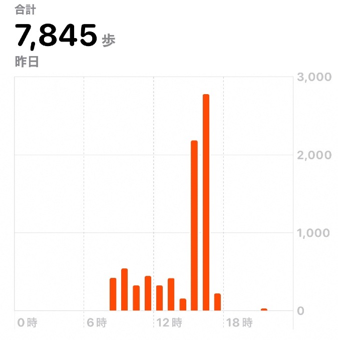 7845歩　ウォーキング11/17