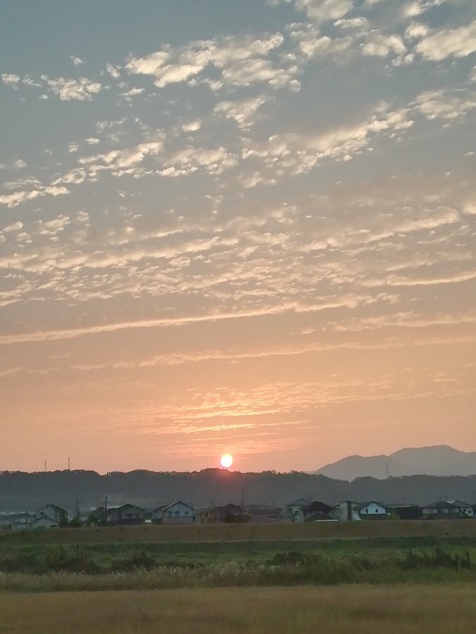 今朝の空