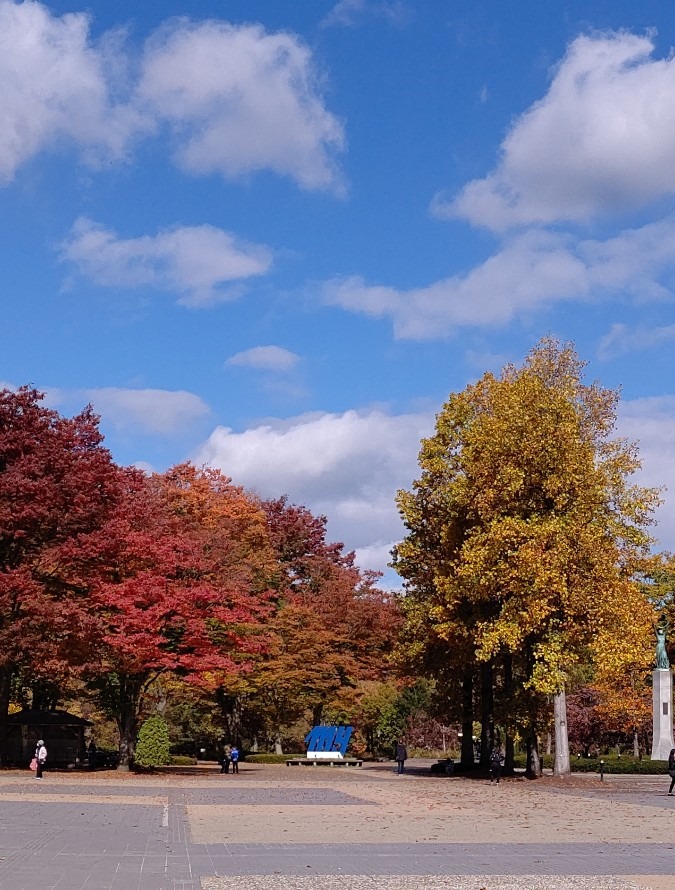 公園は紅葉真っ盛り🍁