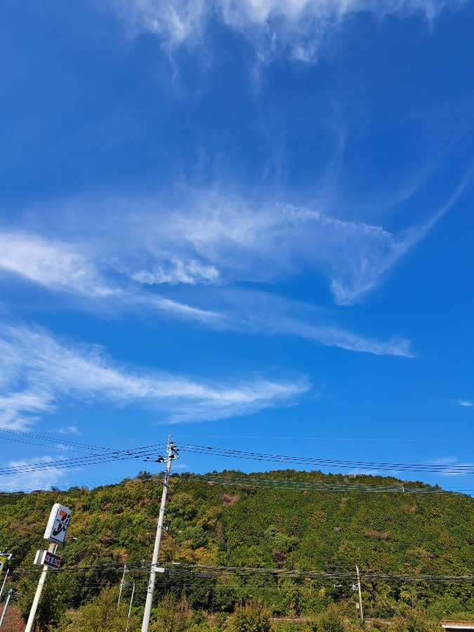 オオムに見える雲