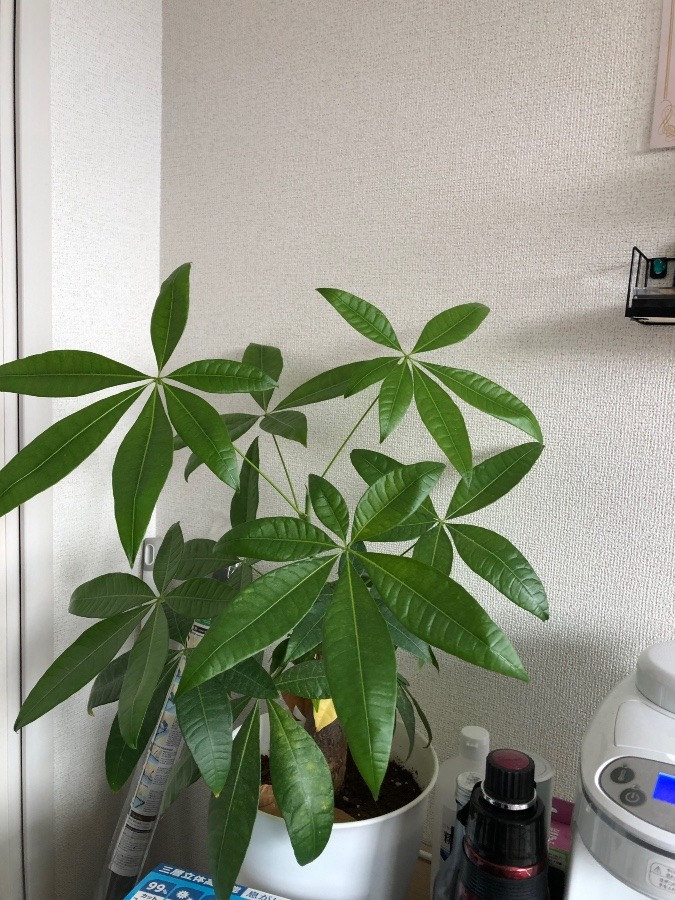 もうすぐ…