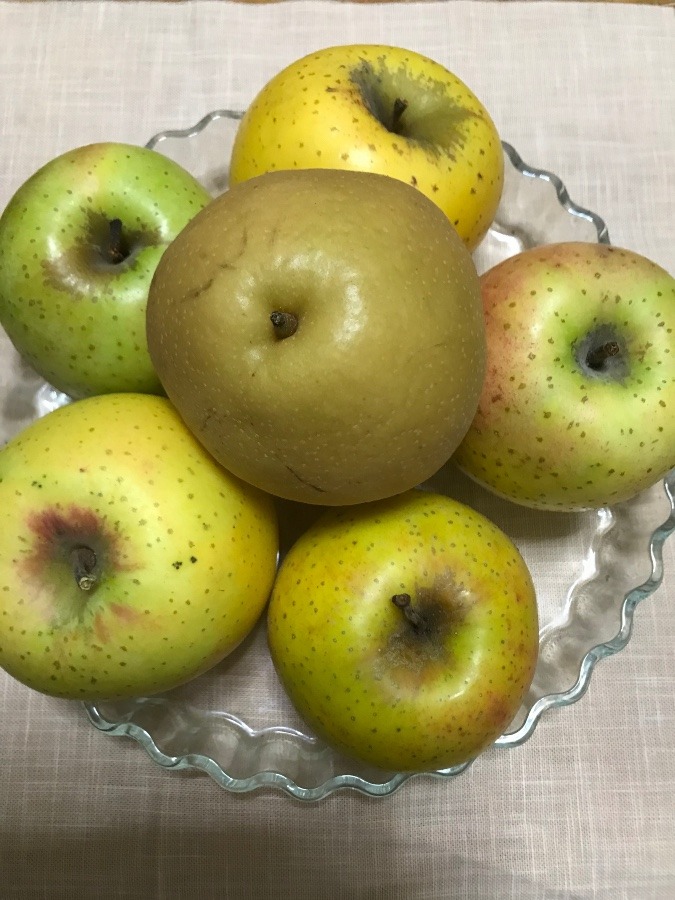 頂きもの🍏🍎🍐