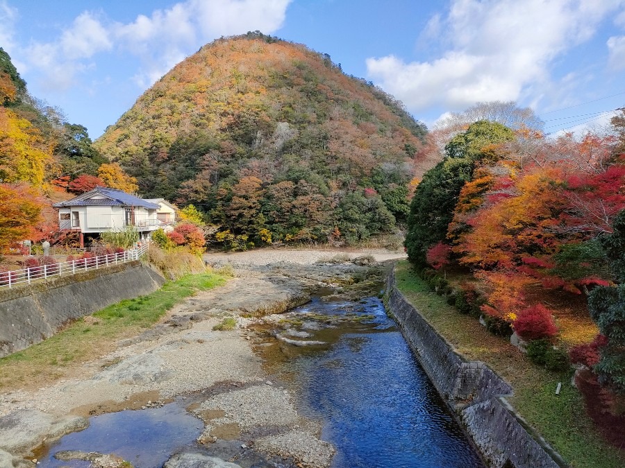 山口県長門峡の紅葉