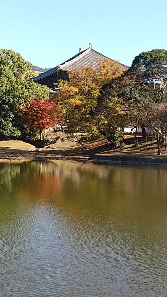 東大寺の屋根が見えます。