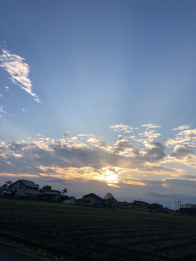 今日の朝陽