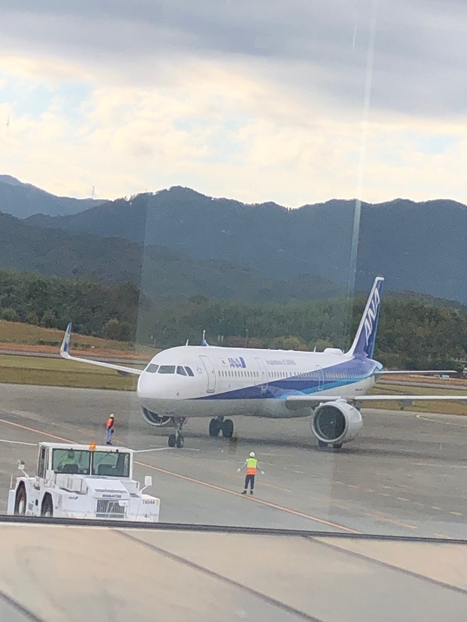 飛行機