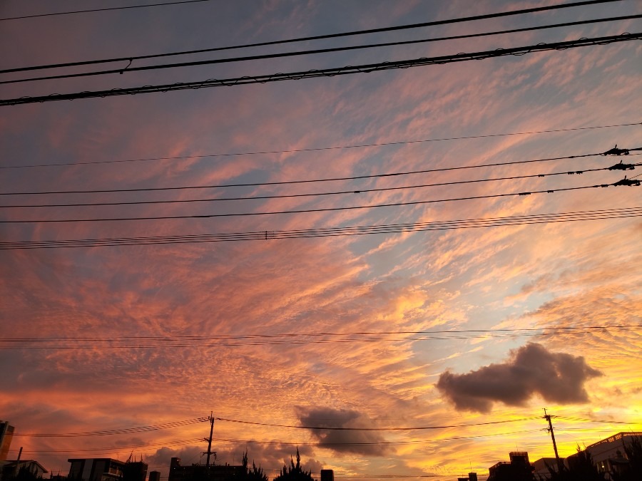 11月1日 黄昏の空