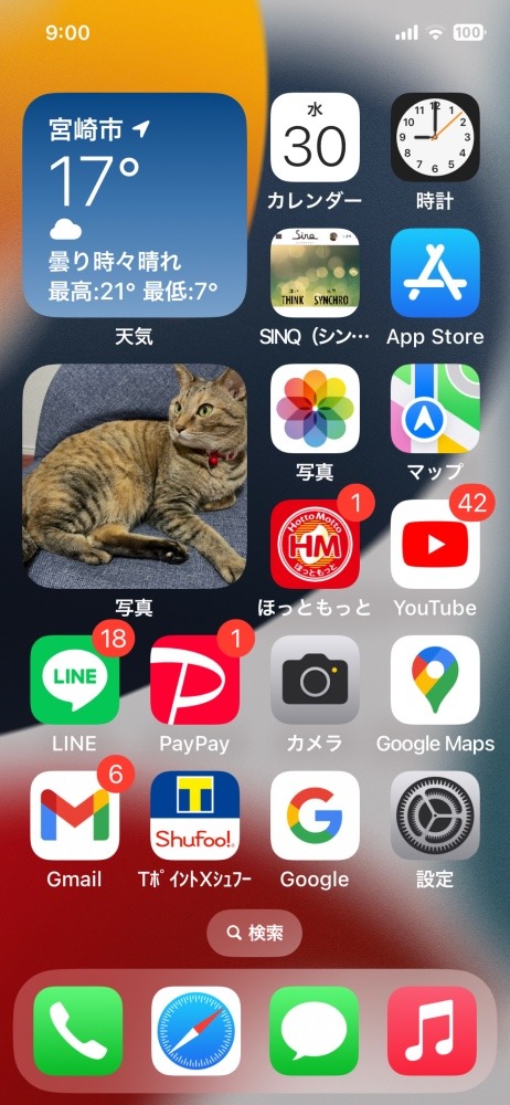 お気に入りの待受📱😽