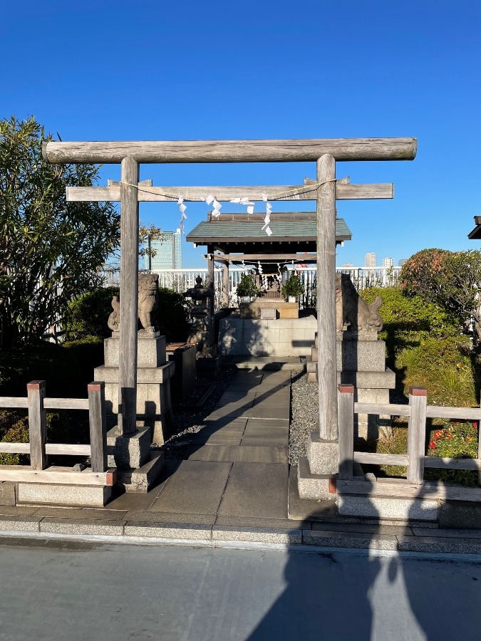 隣りの屋上に