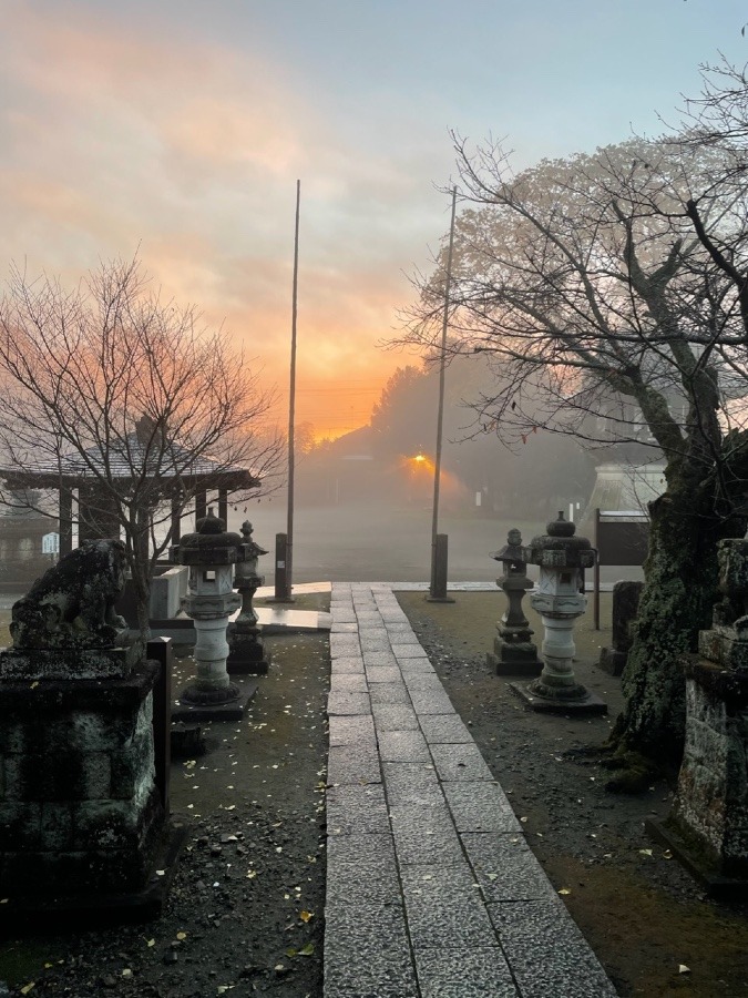 日の出のご開帳✨✨