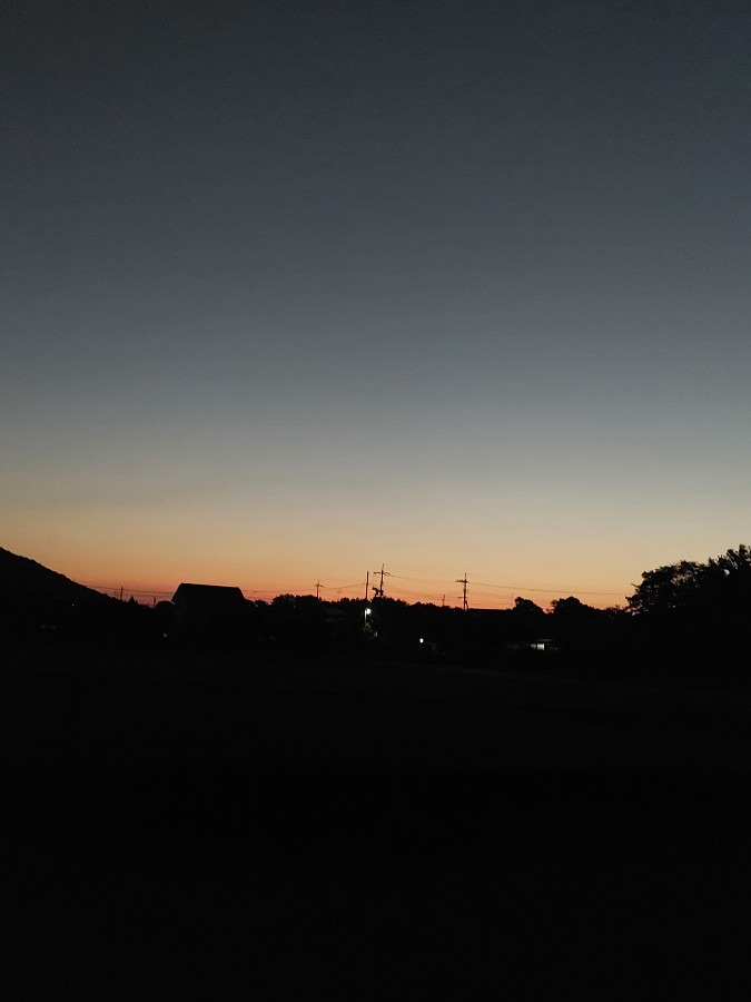 朝空11/3