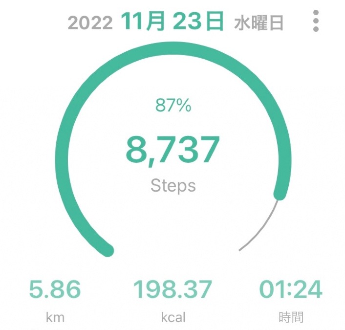 今日のウォーキング👣