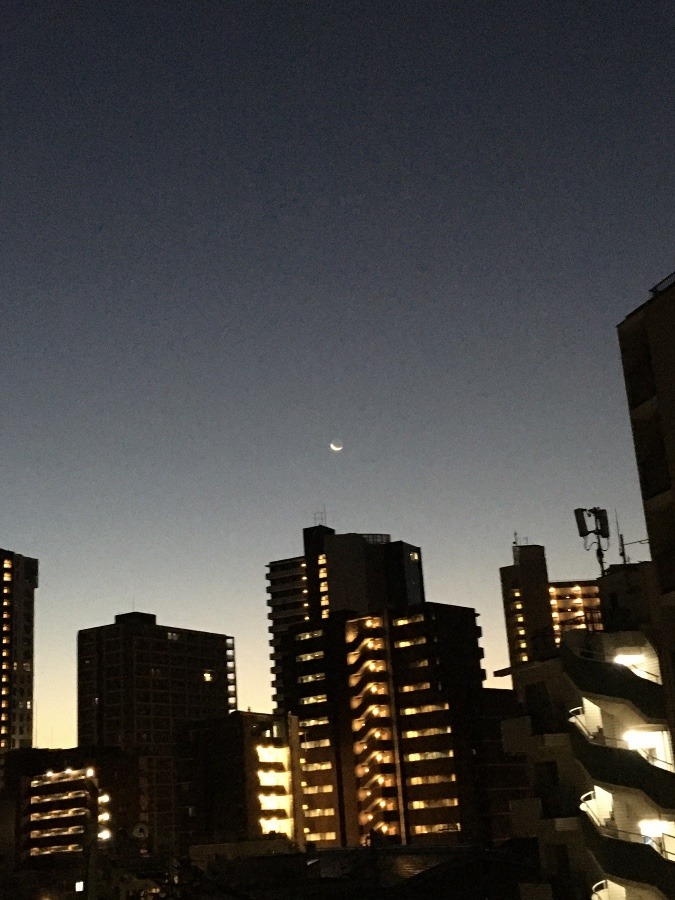 11/22 朝空