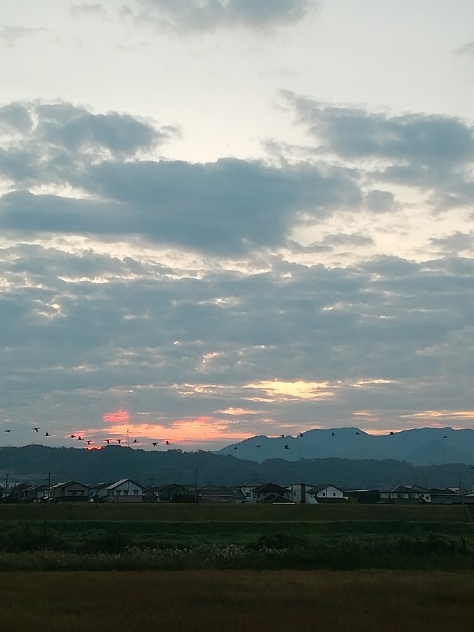 今朝の空