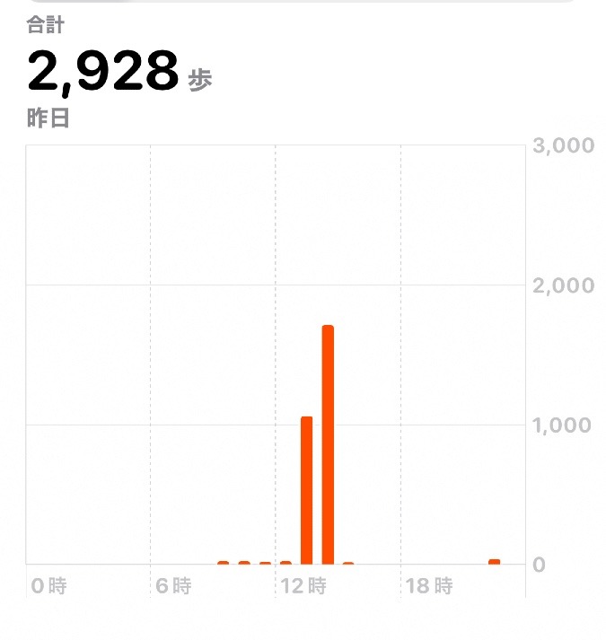 2928歩　ウォーキング11/27