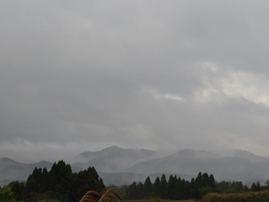 雨日より☔️